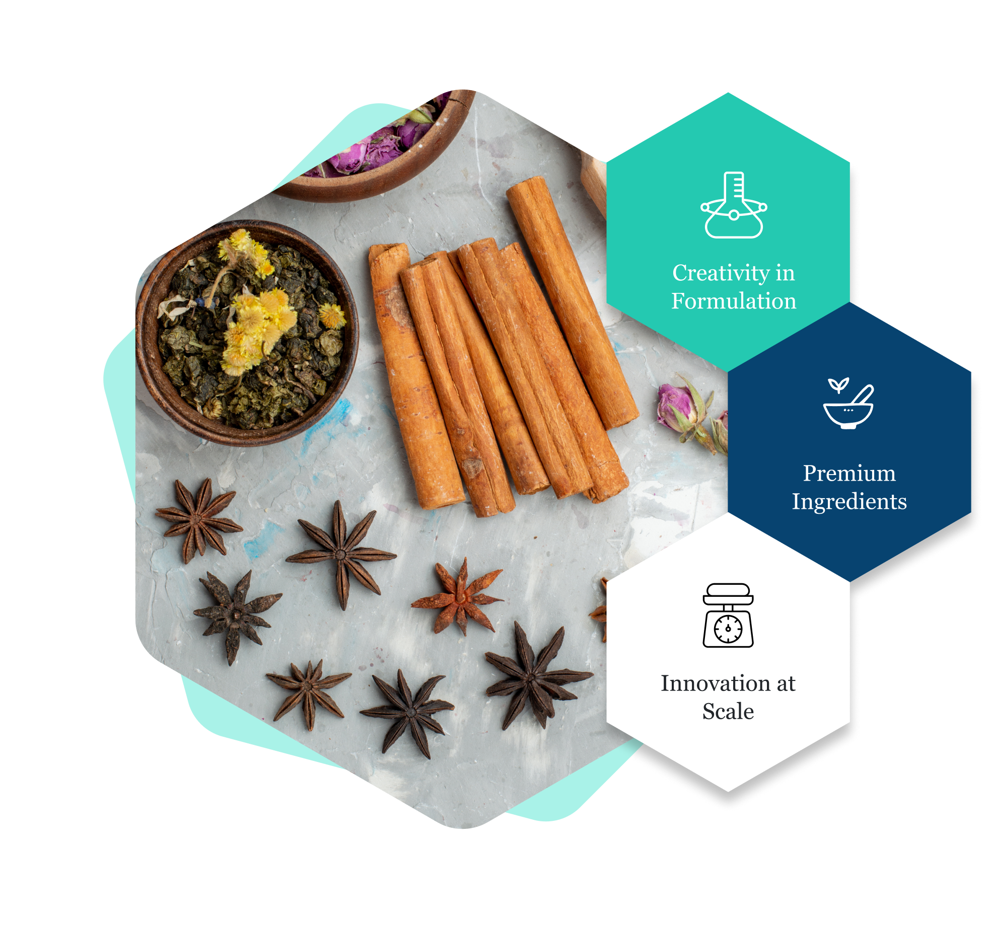 Designing with Creativity and Passion