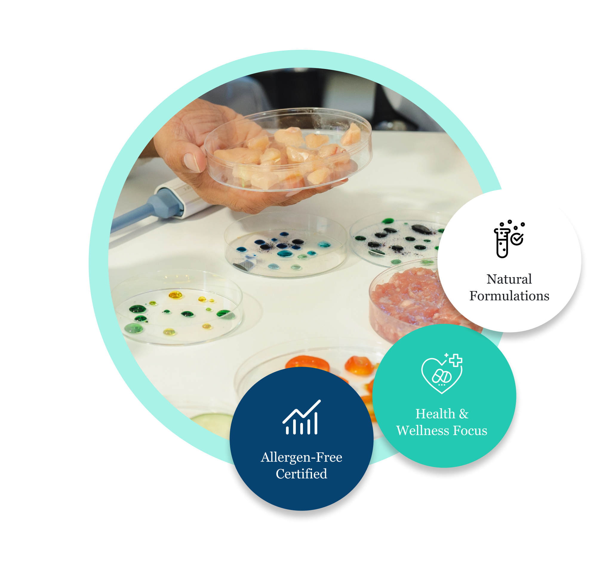 Formulation Development