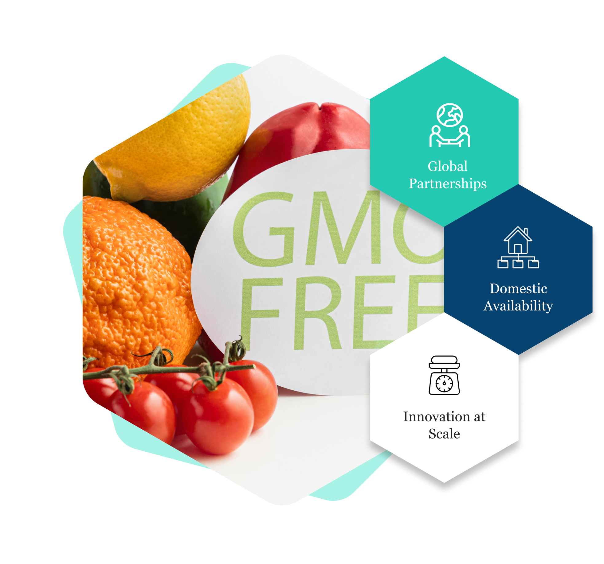 100% Quality Assurance